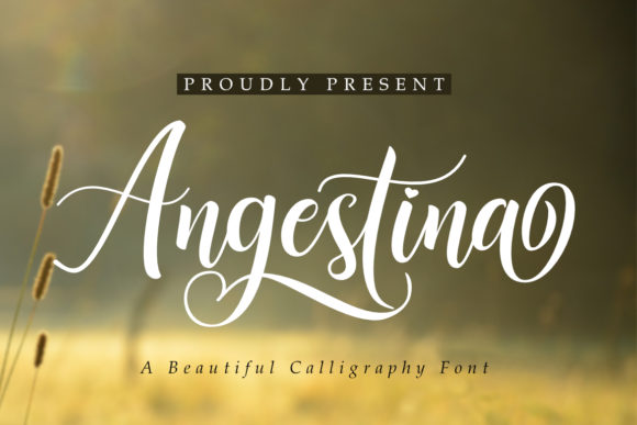 Angestina: A Script Font for Real-World Design