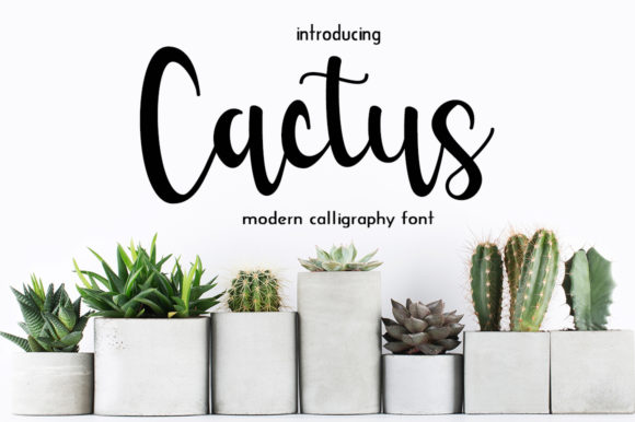 Cactus: A Flowing Font for Creative Projects
