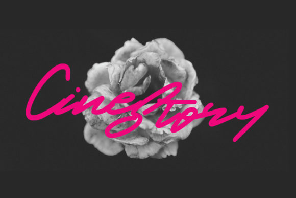 Cinestory Font: Elegant Script for Web Design