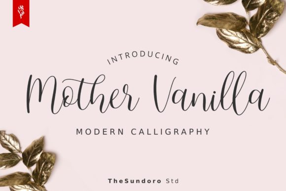 Graceful Script Font for Elegant Design