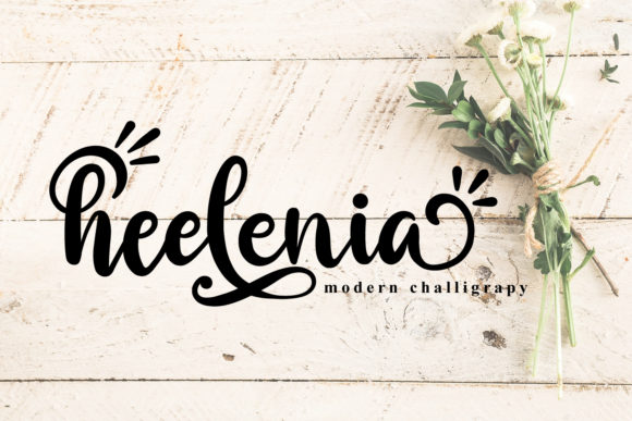 Heelenia: A Elegant Script Font for Business
