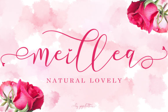 Meillea: A Elegant Font for Business Branding
