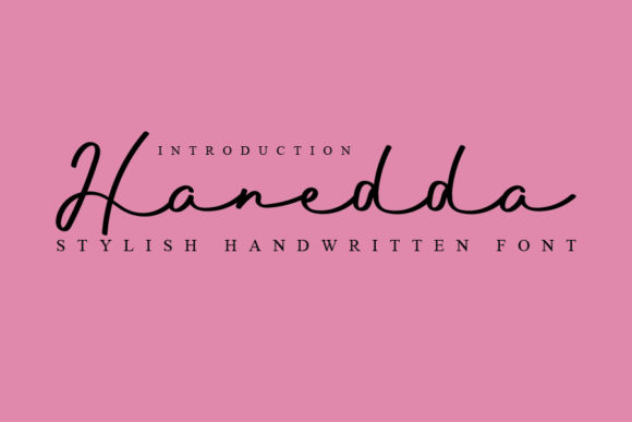 Upgrade Your Brand with Hanedda